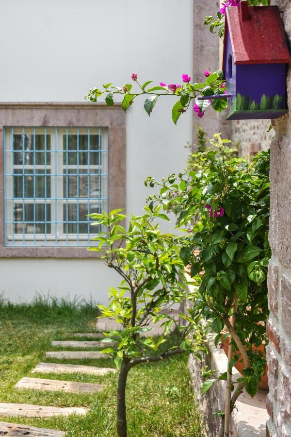 Lunaria Guest House Ayvalı 외부 사진