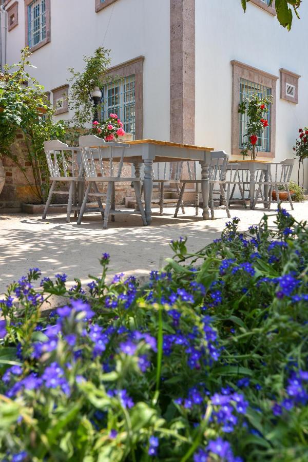 Lunaria Guest House Ayvalı 외부 사진